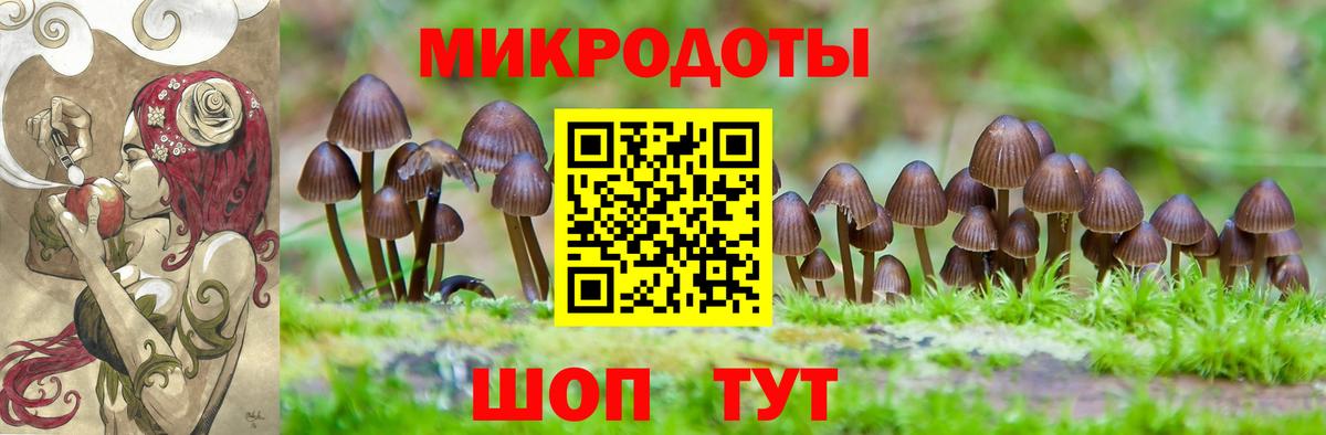 Галлюциногенные грибы MAGIC MUSHROOMS  Псилоцибиновые грибы Magic Shrooms  Туапсе  где купить наркоту  Вход с VPN 